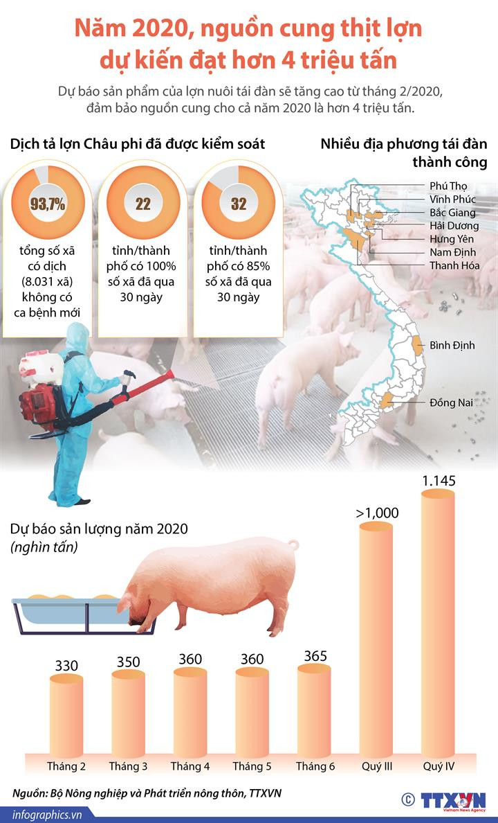 [Infographics] Nguồn cung thịt lợn dự kiến đạt hơn 4 triệu tấn ảnh 1