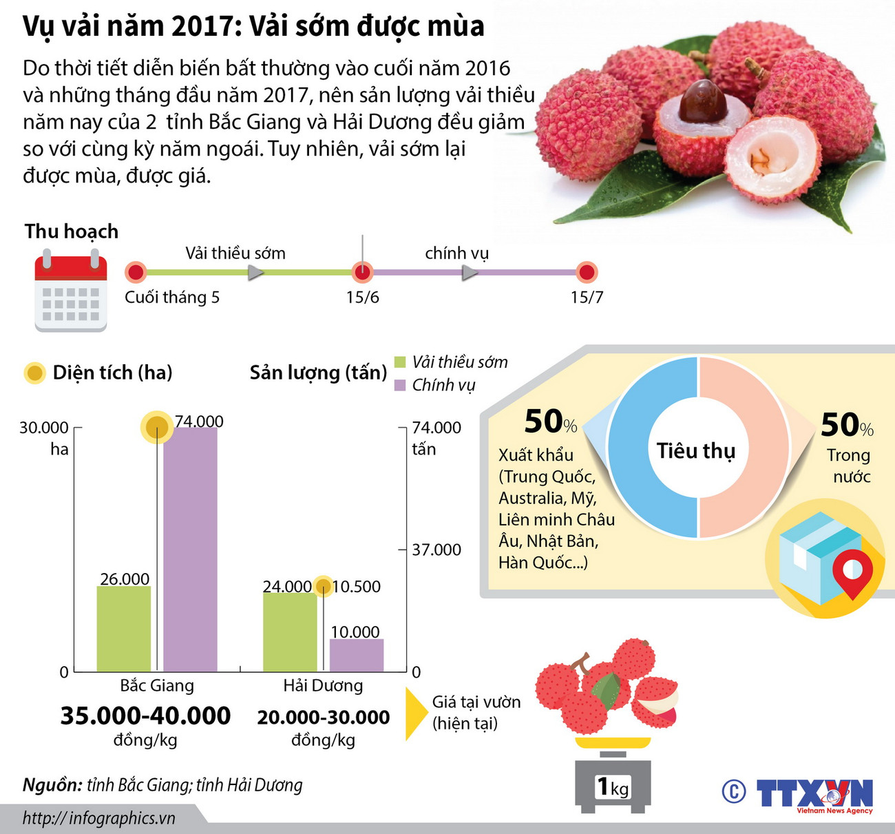 [Infographics] Bắc Giang, Hải Dương được mùa vải thiều sớm ảnh 1