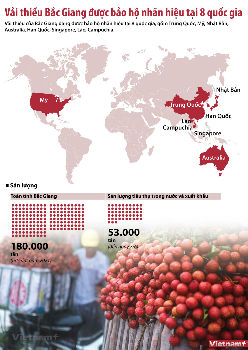 [Infographics] Danh sách các nước bảo hộ nhãn hiệu vải thiều Bắc Giang ảnh 1