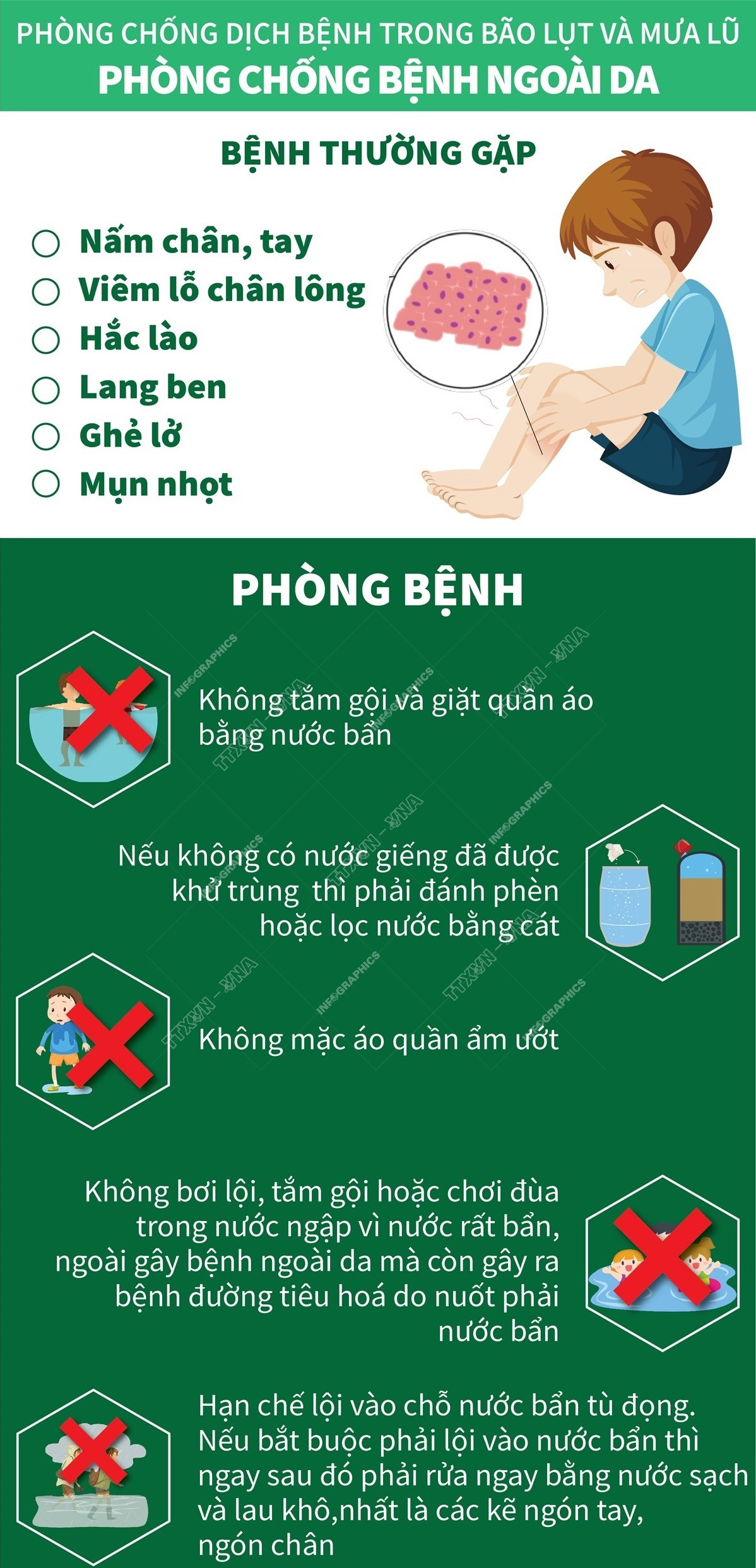 [Infographics] Cách phòng chống các bệnh trong mùa bão lụt và mưa lũ ảnh 1