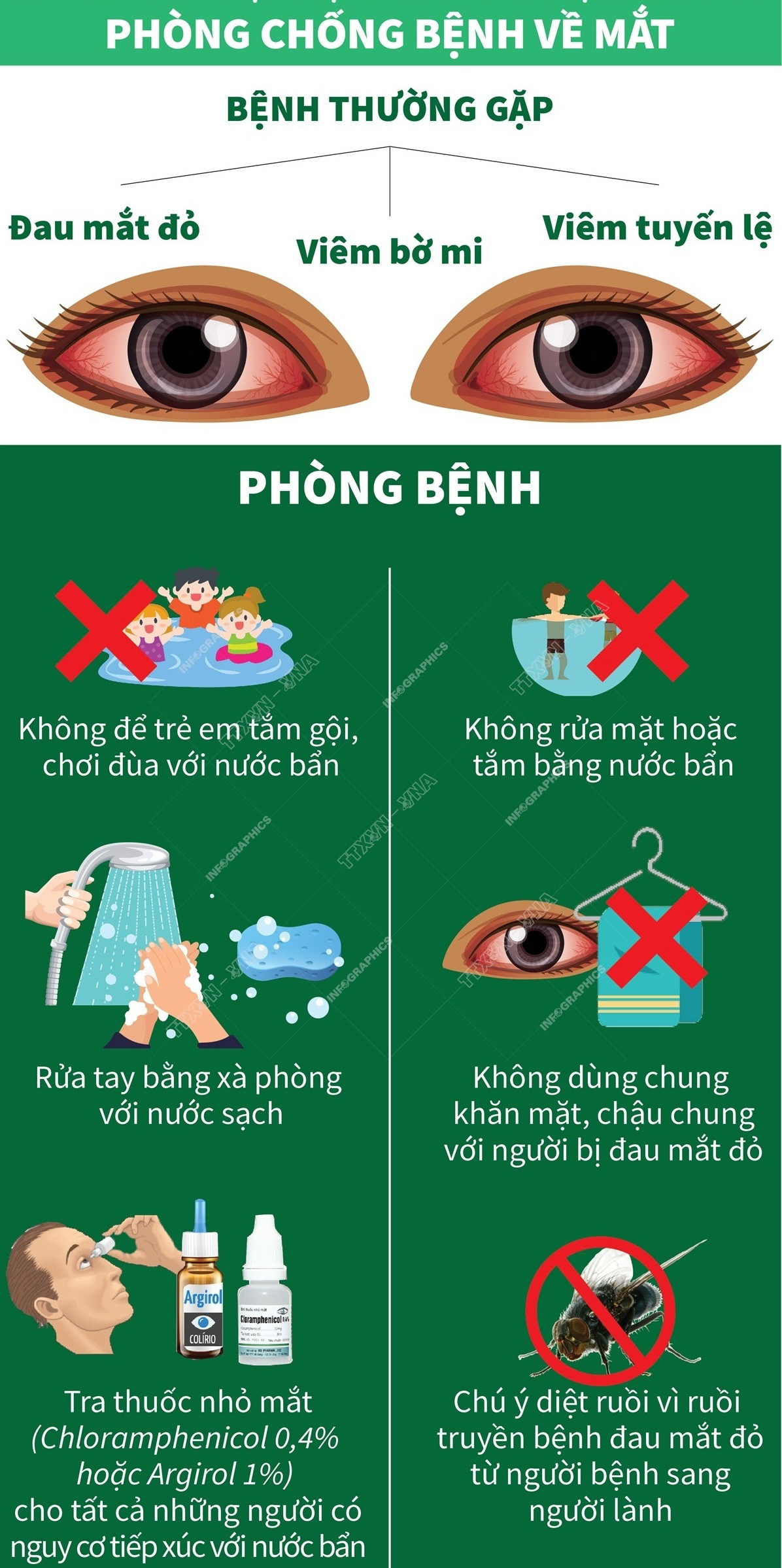 [Infographics] Cách phòng chống các bệnh trong mùa bão lụt và mưa lũ ảnh 2