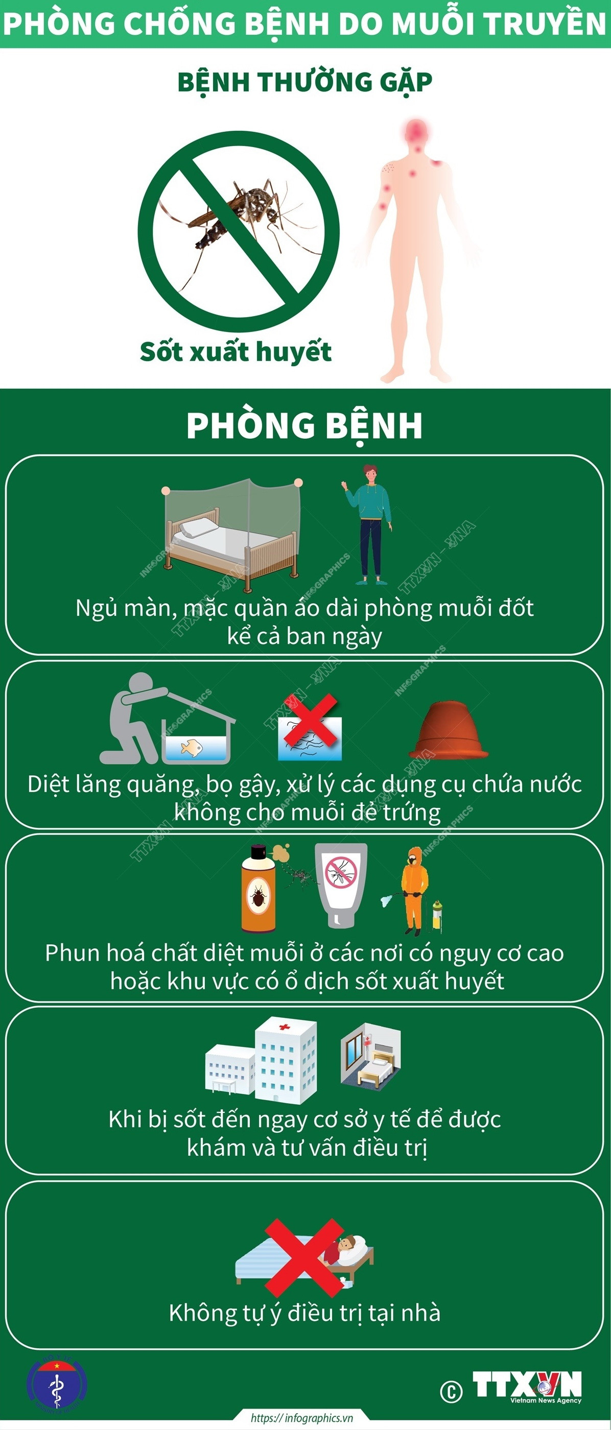 [Infographics] Cách phòng chống các bệnh trong mùa bão lụt và mưa lũ ảnh 5