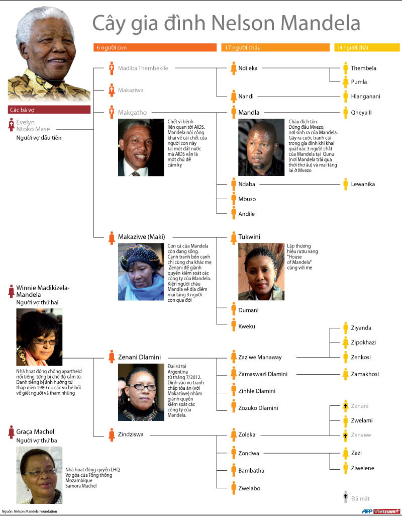 Ảnh đồ họa về gia đình của ông Nelson Mandela ảnh 1