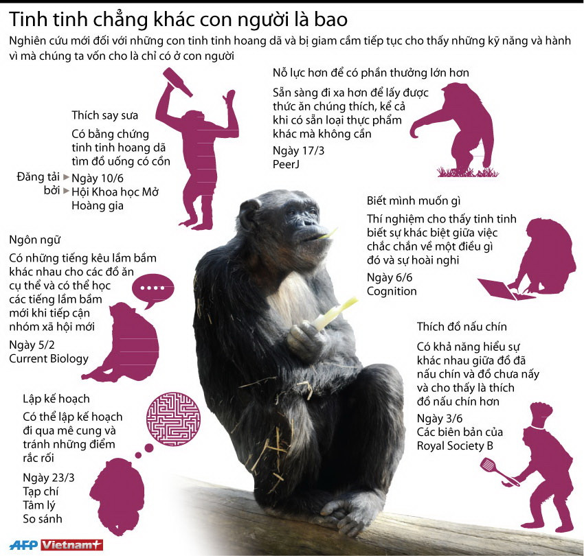 [Infographics] Hành vi của tinh tinh chẳng khác gì con người ảnh 1