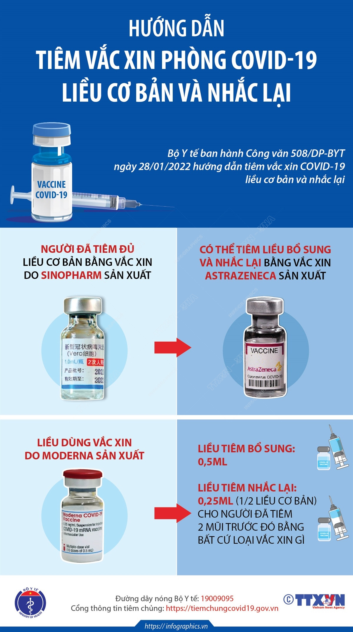 [Infographics] Hướng dẫn tiêm vaccine COVID-19 liều cơ bản và nhắc lại ảnh 1