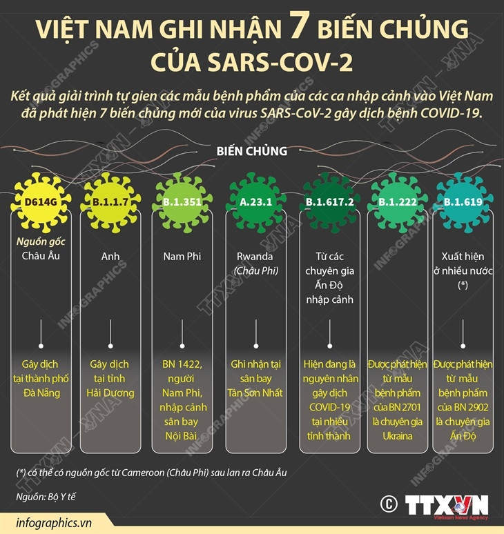 [Infographics] Việt Nam ghi nhận 7 biến chủng của SARS-CoV-2 ảnh 1