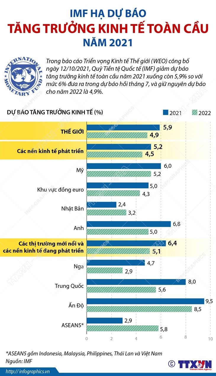 [Infographics] IMF hạ dự báo tăng trưởng kinh tế toàn cầu năm 2021 ảnh 1