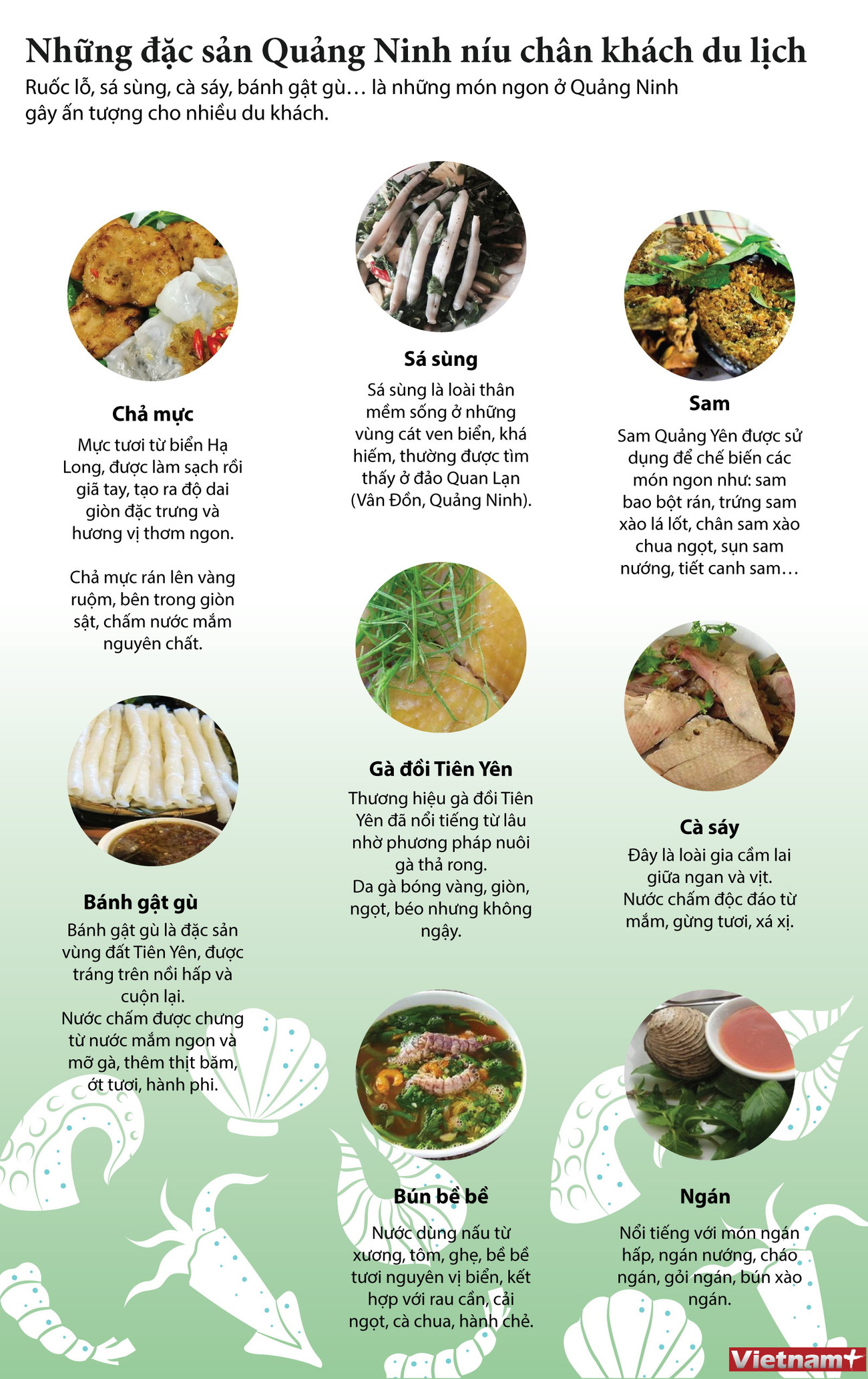 [Infographics] Những đặc sản của Quảng Ninh níu chân du khách ảnh 1