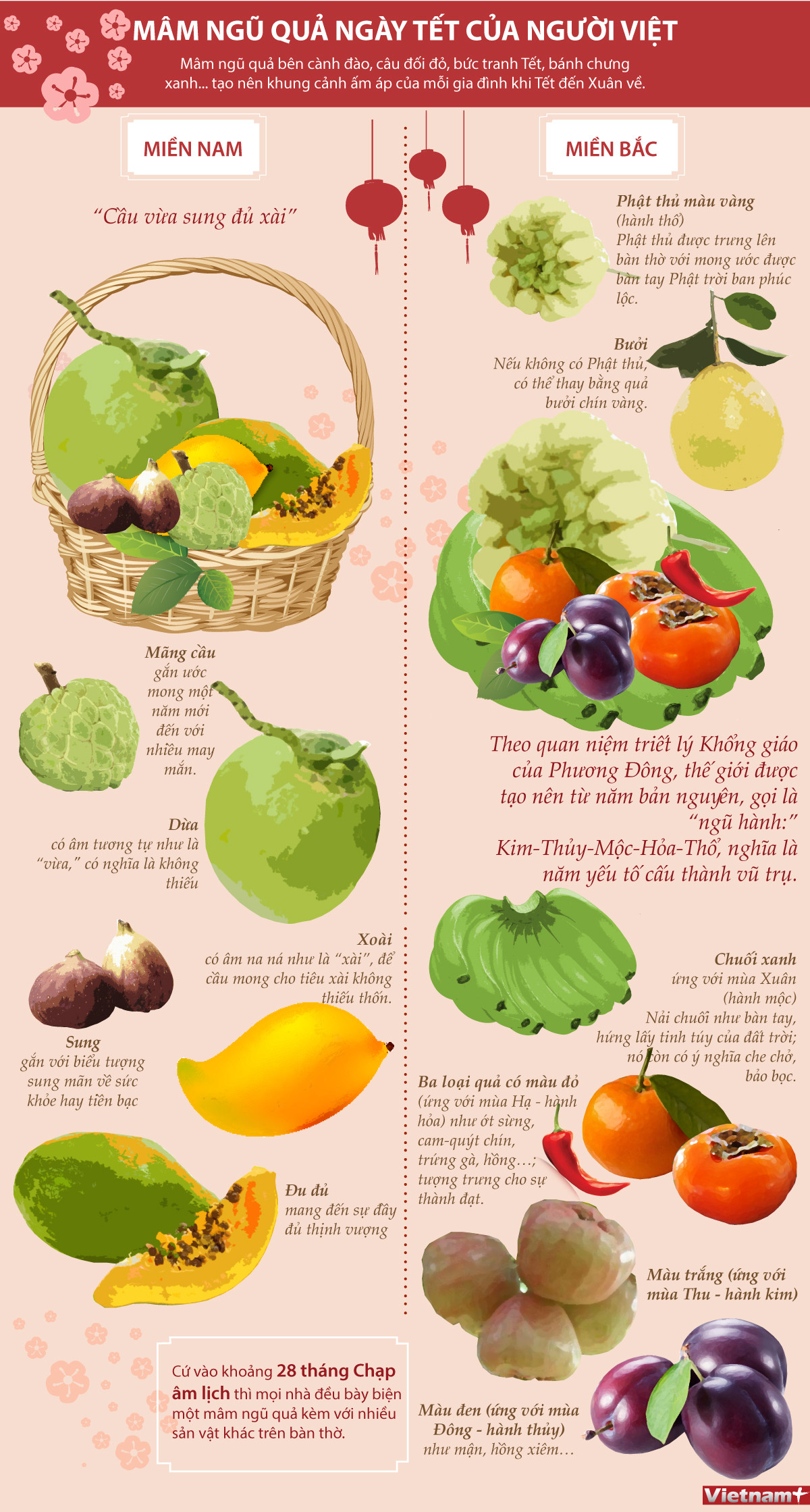 [Infographics] Sự khác nhau của mâm ngũ quả miền Nam và miền Bắc ảnh 1