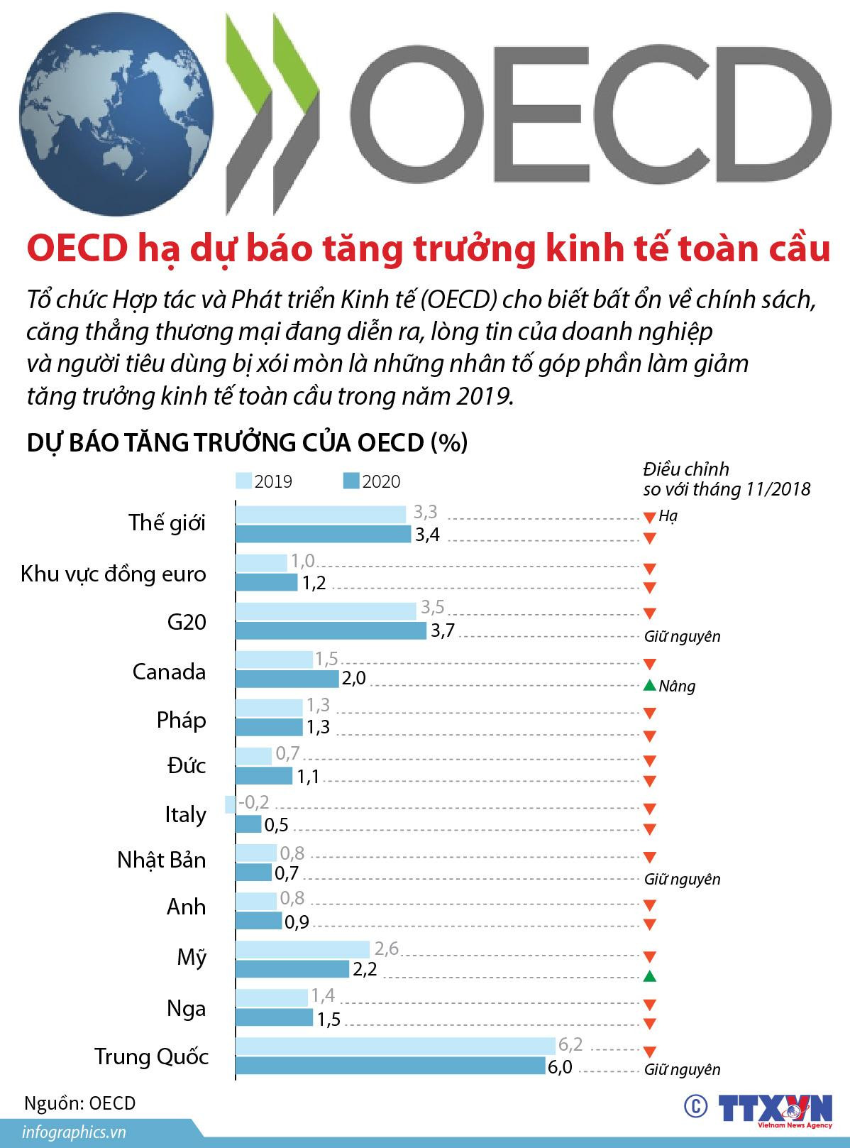 OECD dự báo tăng trưởng kinh tế toàn cầu giảm trong năm nay ảnh 1