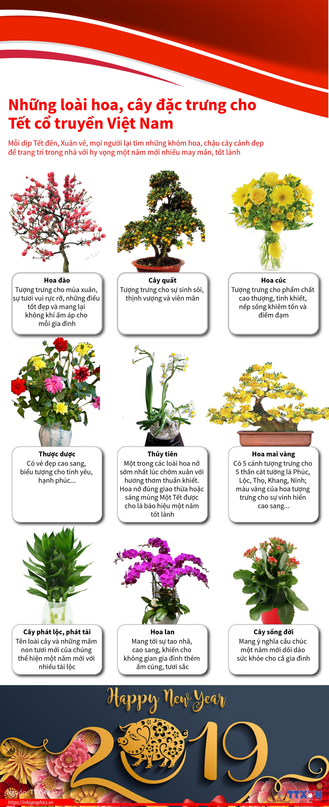 Những loài hoa, cây đặc trưng cho Tết cổ truyền Việt Nam ảnh 1
