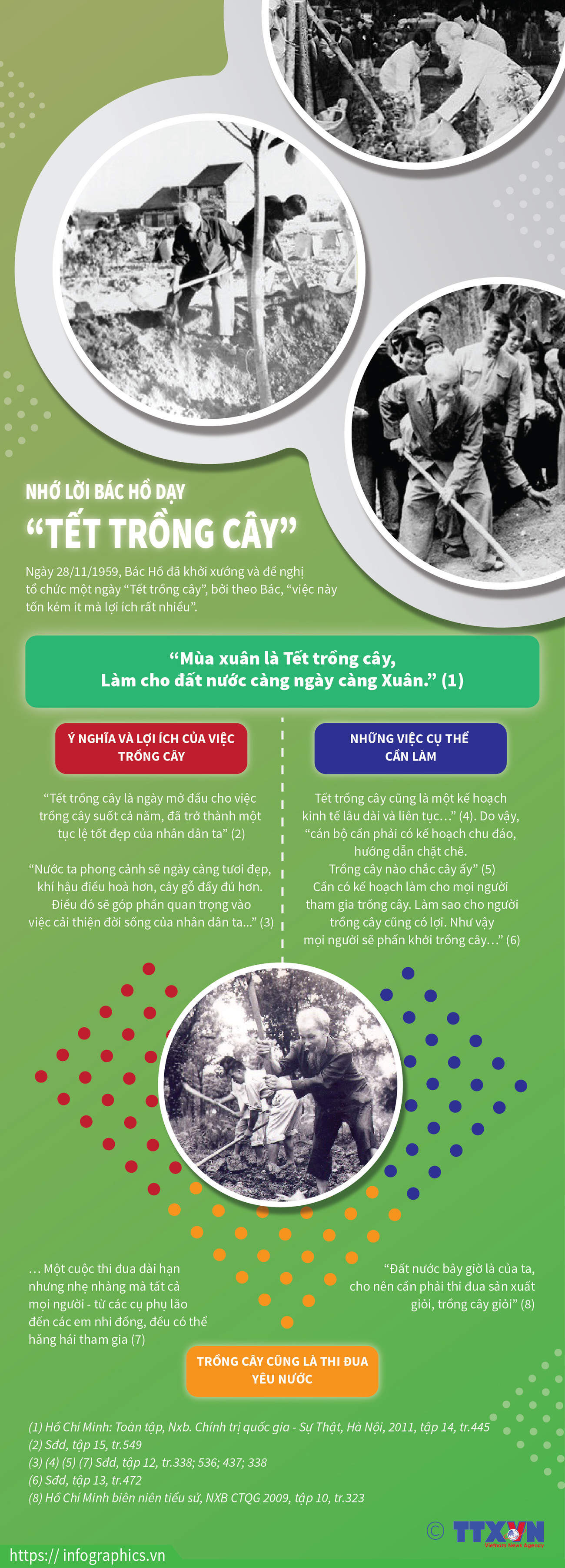 [Infographics] Tổ chức 'Tết trồng cây,' nhớ lời Bác Hồ dạy ảnh 1