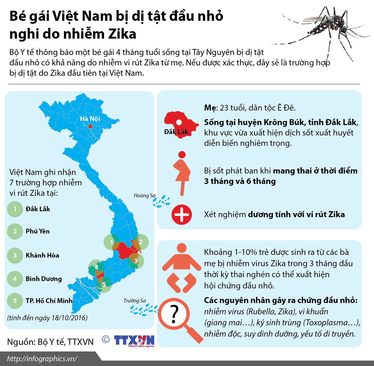 [Infographics] Bé gái Việt Nam bị dị tật đầu nhỏ nghi do nhiễm Zika ảnh 1