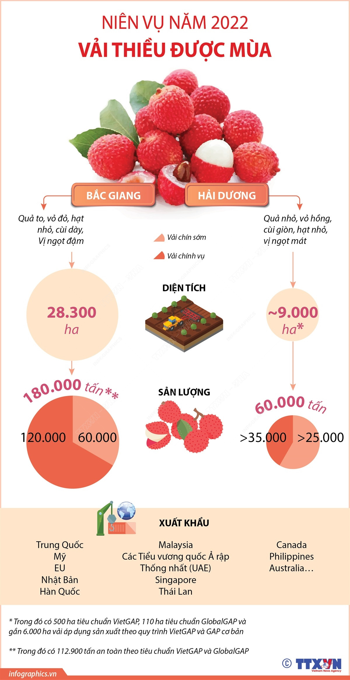 [Infographics] Niên vụ 2022: Vải thiều Hải Dương, Bắc Giang được mùa ảnh 1