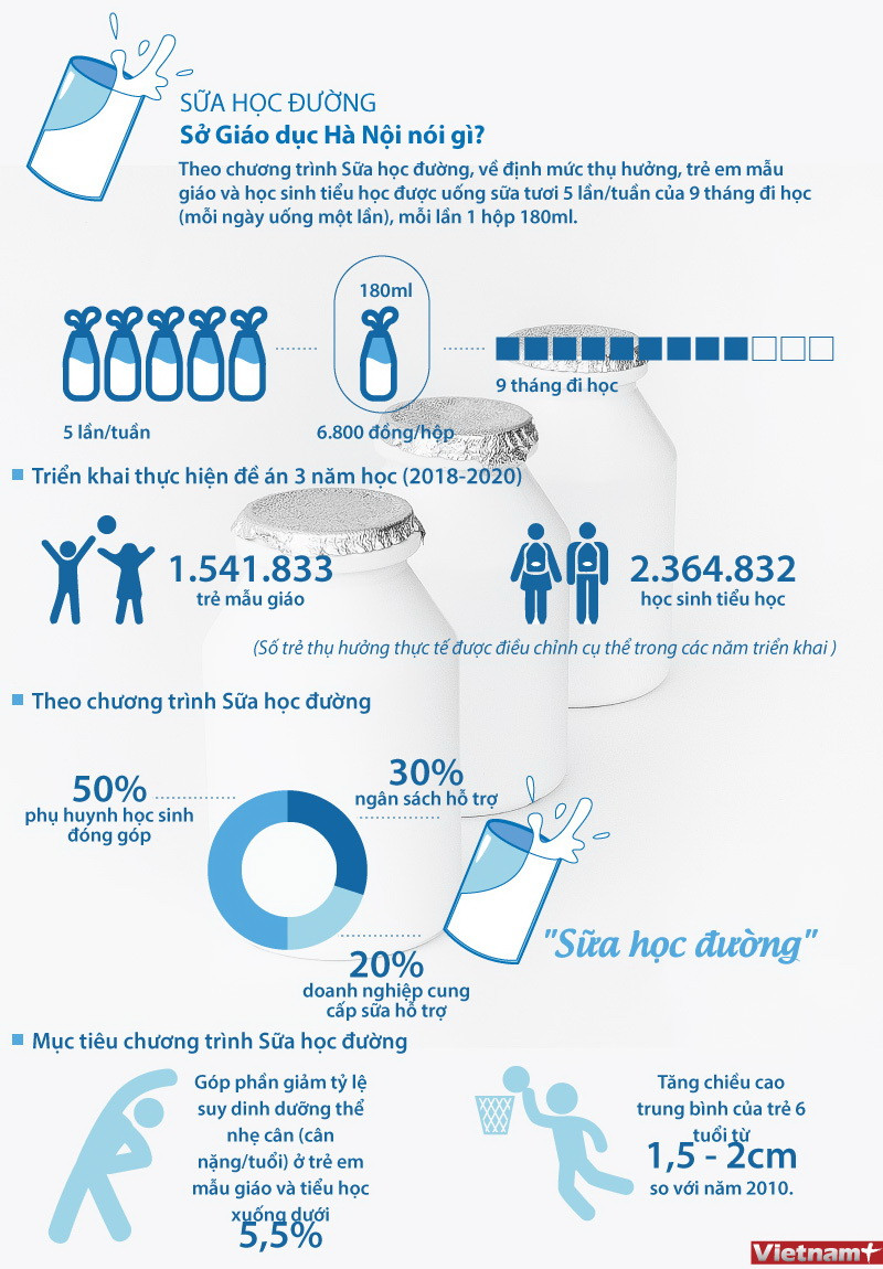 [Infographics] Sở Giáo dục Hà Nội nói gì về Sữa học đường? ảnh 1