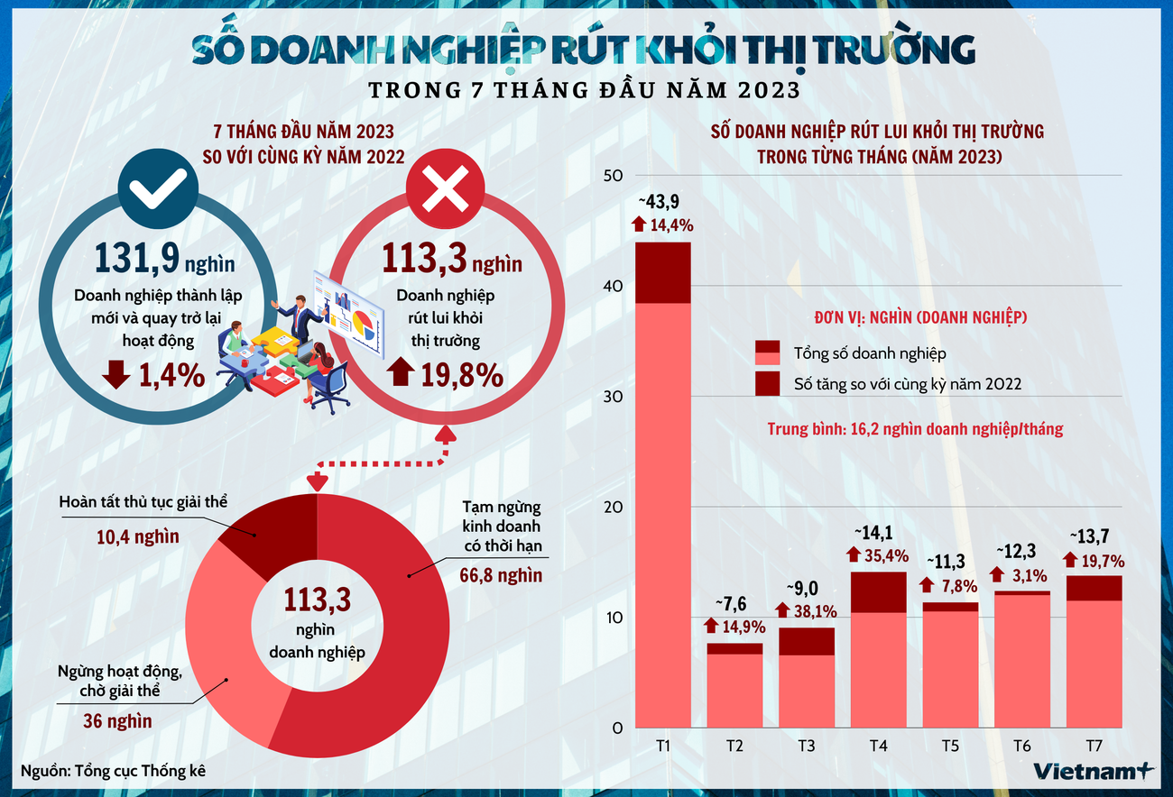 Hơn 113.000 doanh nghiệp rút khỏi thị trường trong 7tháng đầu năm ảnh 1