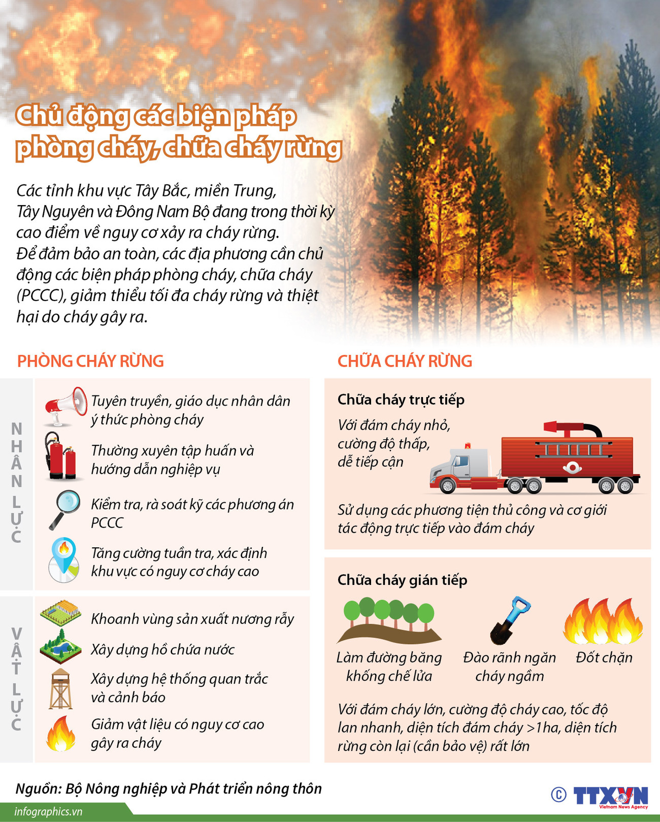 [Infographics] Chủ động các biện pháp phòng cháy, chữa cháy rừng ảnh 1