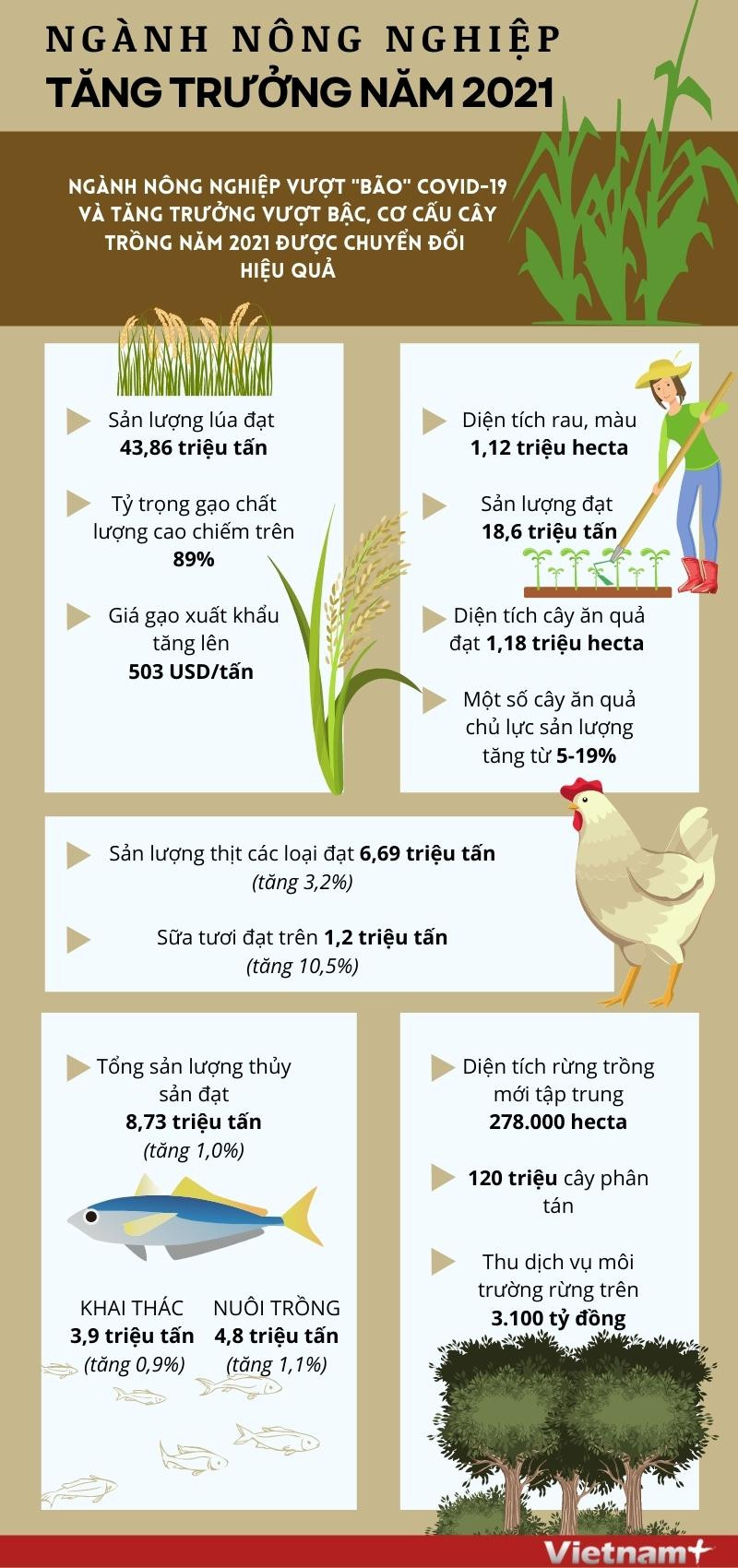 [Infographics] Nông nghiệp Việt Nam tăng trưởng vượt bậc năm 2021 ảnh 1