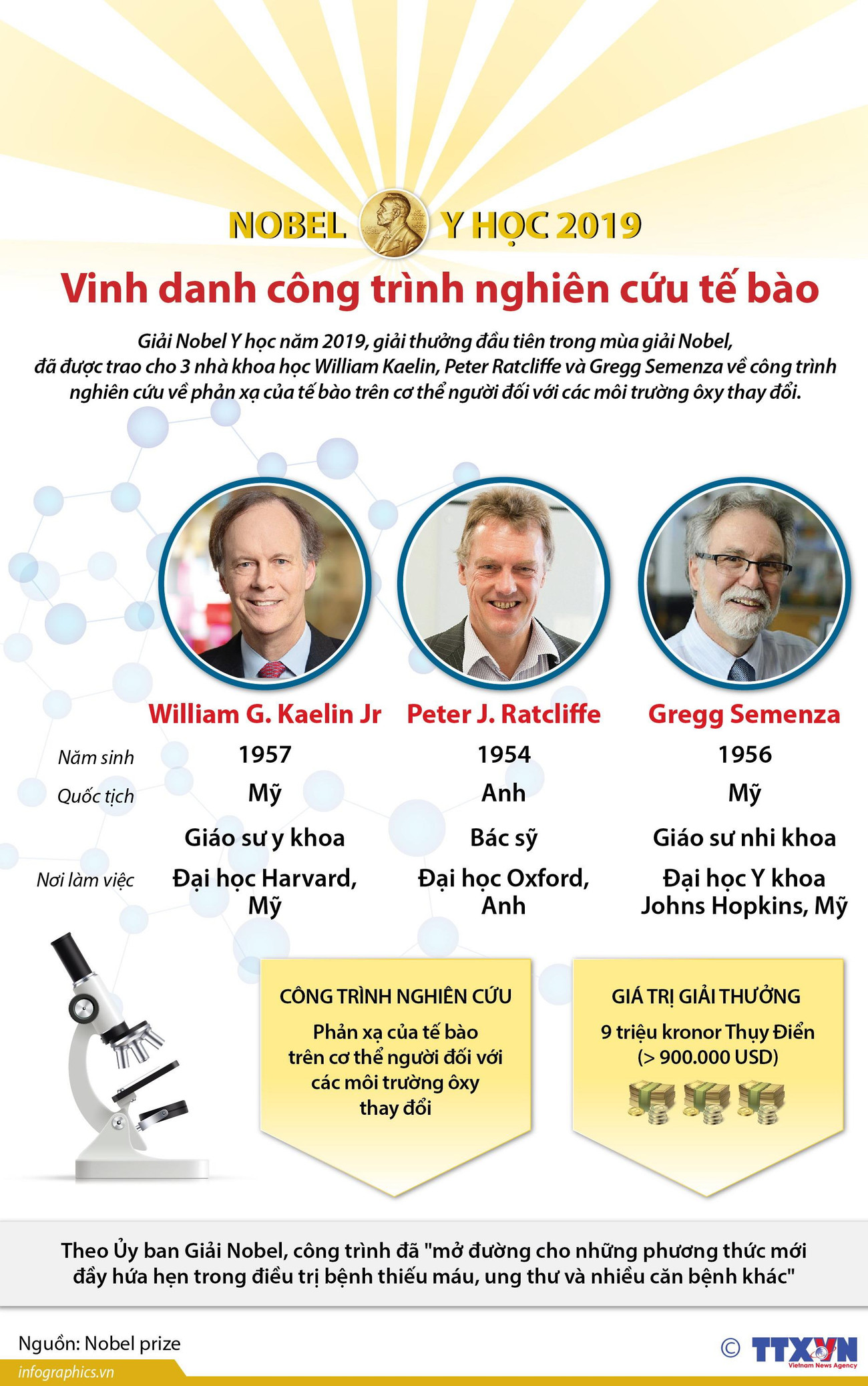 [Infographics] Nobel Y học 2019 vinh danh công trình nghiên cứu tế bào ảnh 1