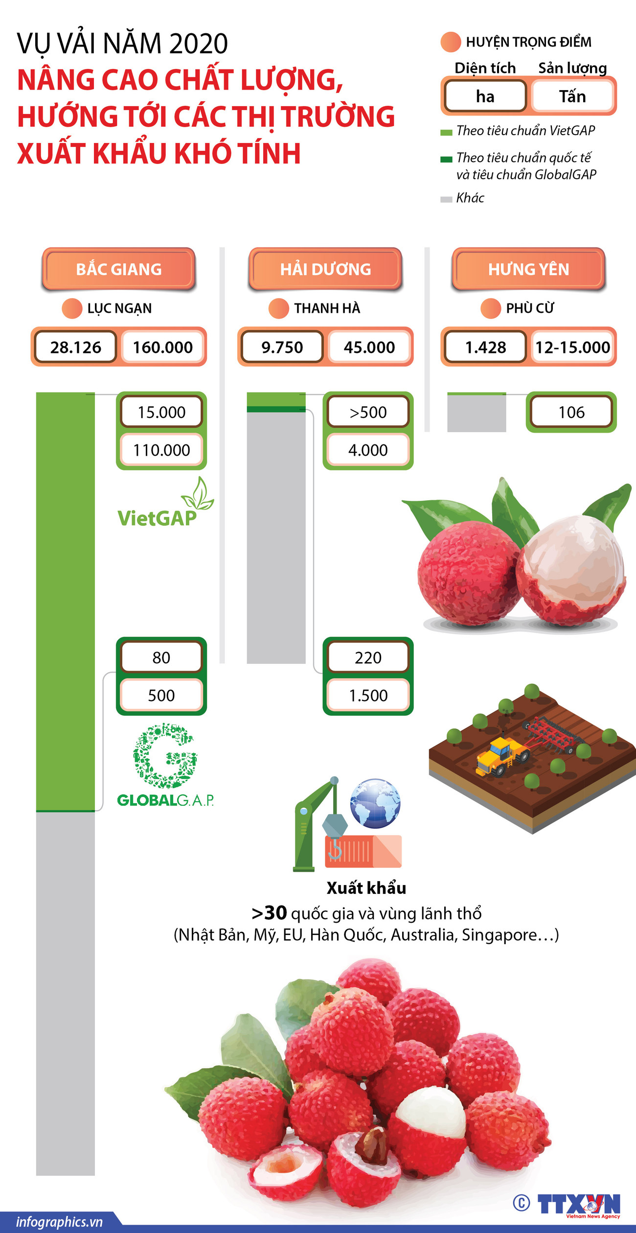 [Infographics] Quả vải Việt hướng tới thị trường xuất khẩu khó tính ảnh 1