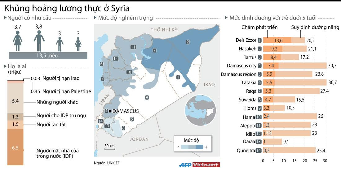 [Infographics] Toàn cảnh về cuộc khủng hoảng lương thực ở Syria ảnh 1