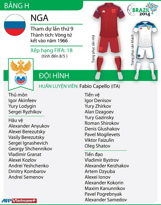 [Infographics] Tuyển Nga loại nhiều trụ cột ở World Cup 2014 ảnh 1