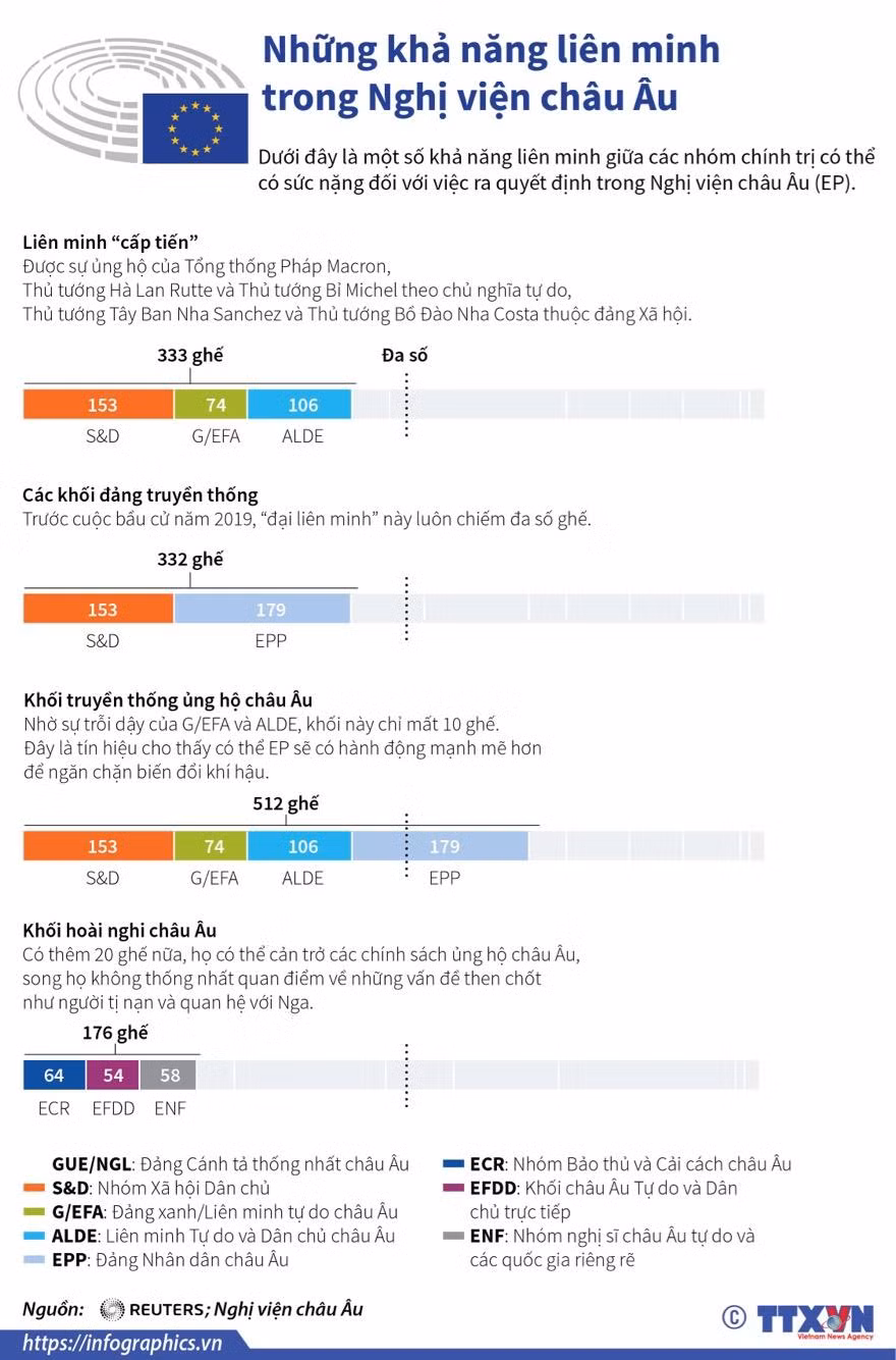 [Infographics] Những khả năng liên minh trong Nghị viện châu Âu ảnh 1