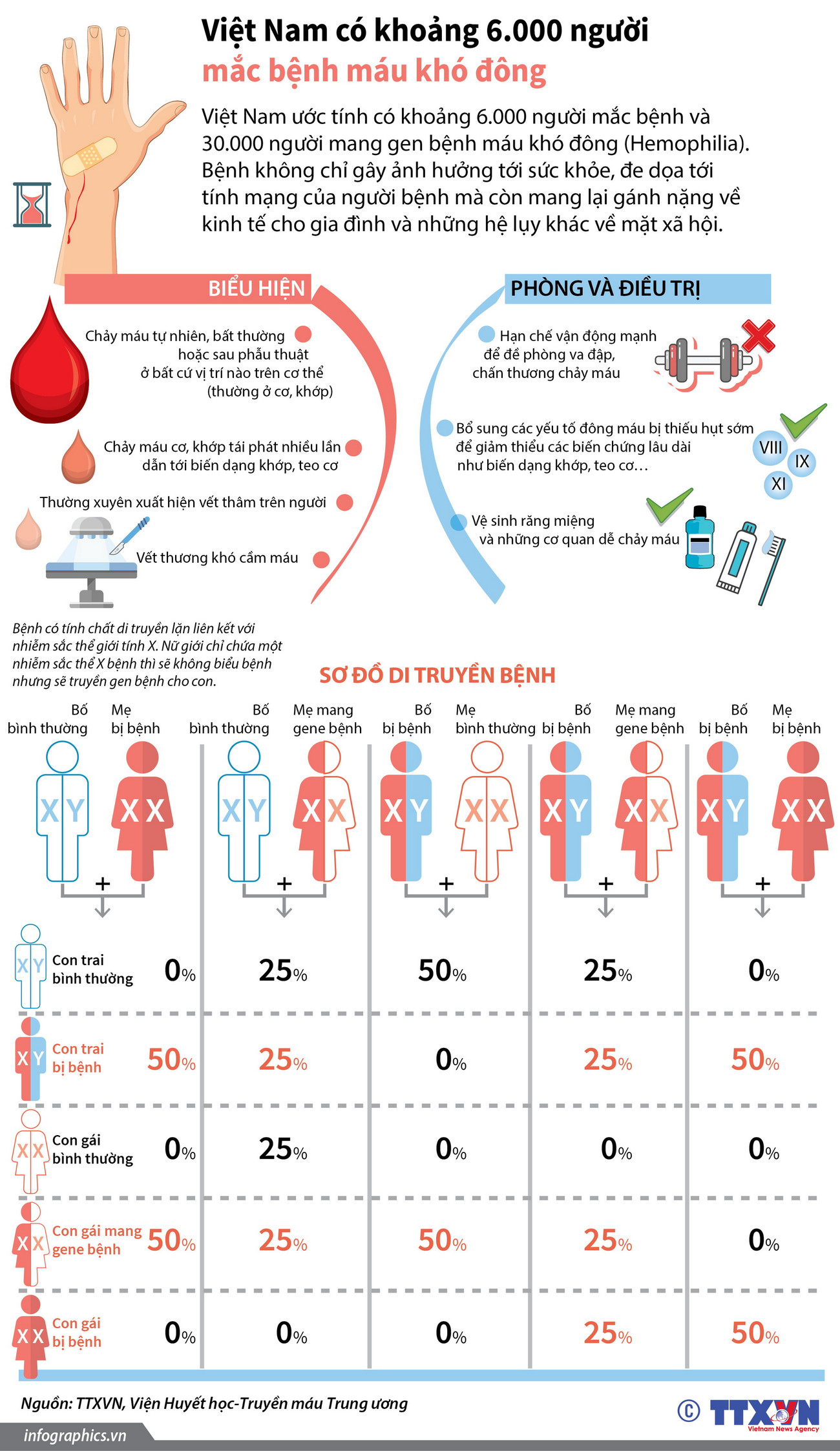 [Infographics] Việt Nam có khoảng 6.000 người mắc bệnh máu khó đông ảnh 1