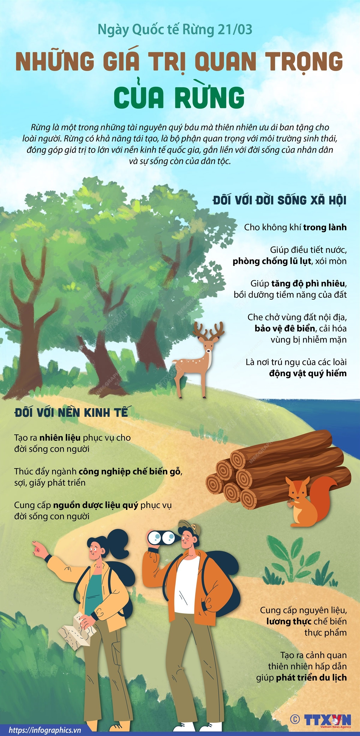 Nhấp chuột để xem kích thước chuẩn. Ngày Quốc tế Rừng 21/3: Những giá trị quan trọng của rừng ảnh 1