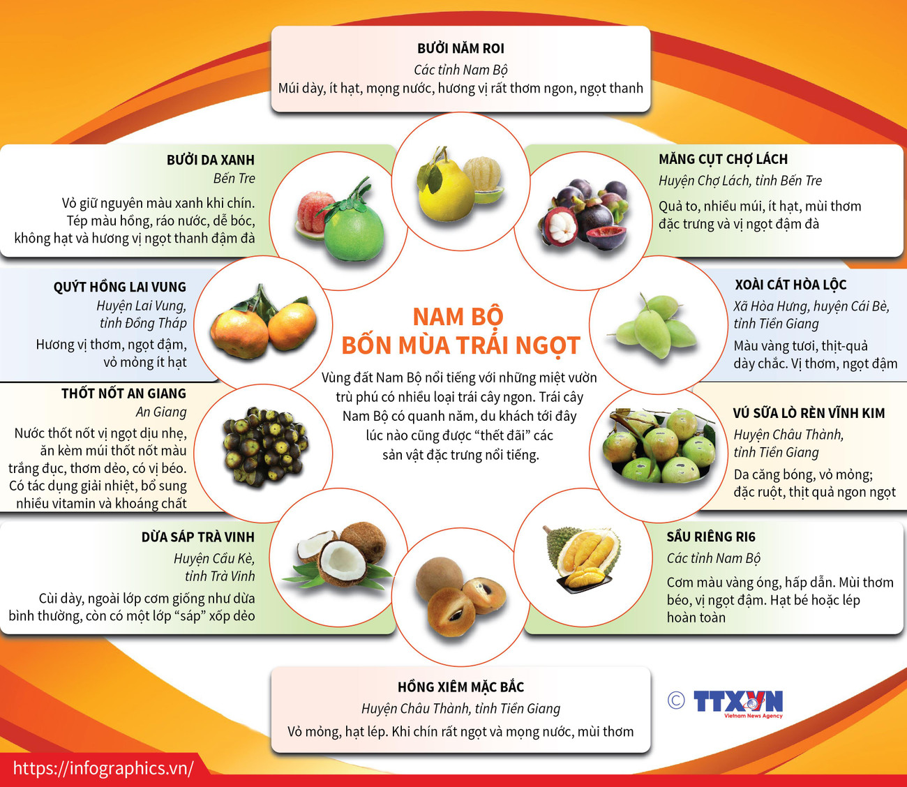 [Infographics] Những loại trái cây đặc sản của Nam Bộ ảnh 1