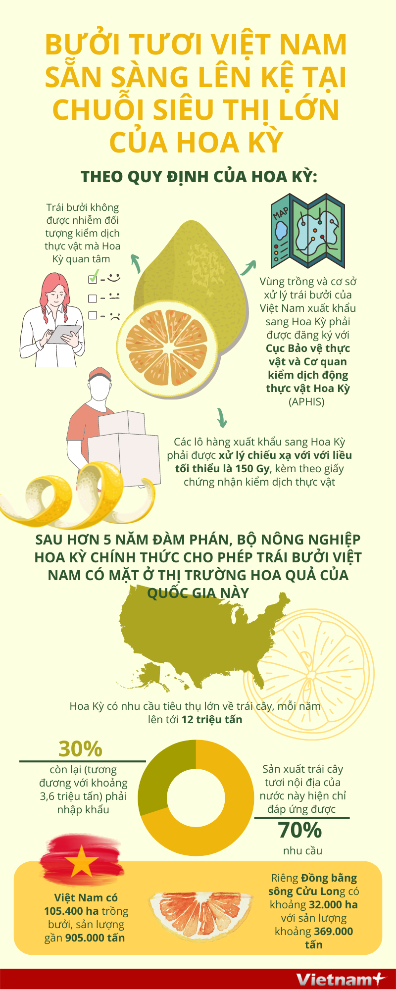 Bưởi tươi Việt Nam sẵn sàng lên kệ tại chuỗi siêu thị lớn của Hoa Kỳ ảnh 1