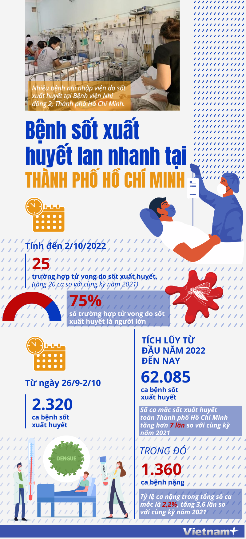 [Infographics] Bệnh sốt xuất huyết lan nhanh ở Thành phố Hồ Chí Minh ảnh 1