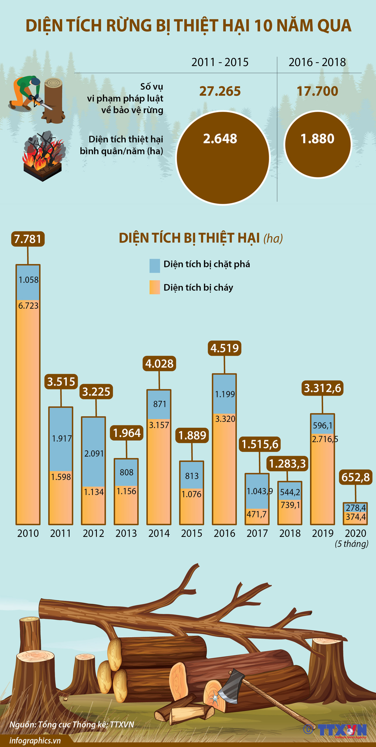 [Infographics] Điểm lại diện tích rừng bị thiệt hại trong 10 năm qua ảnh 1