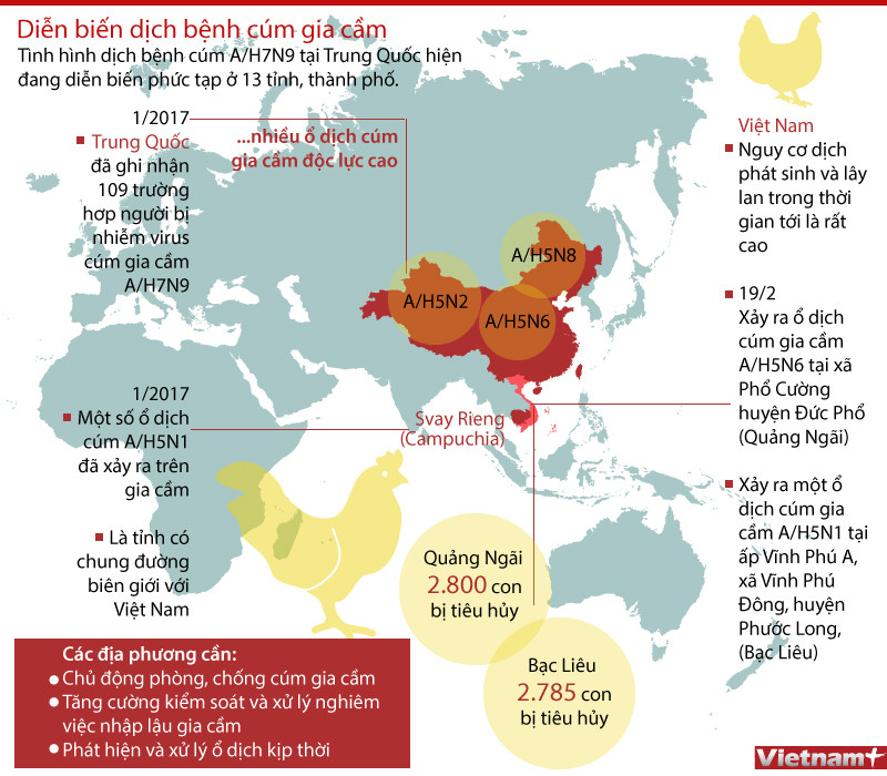 [Infographics] Dịch cúm gia cầm đang diễn biến phức tạp ảnh 1