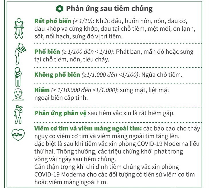 [Infographics] Thông tin cần biết về vaccine COVID-19 Moderna ảnh 4