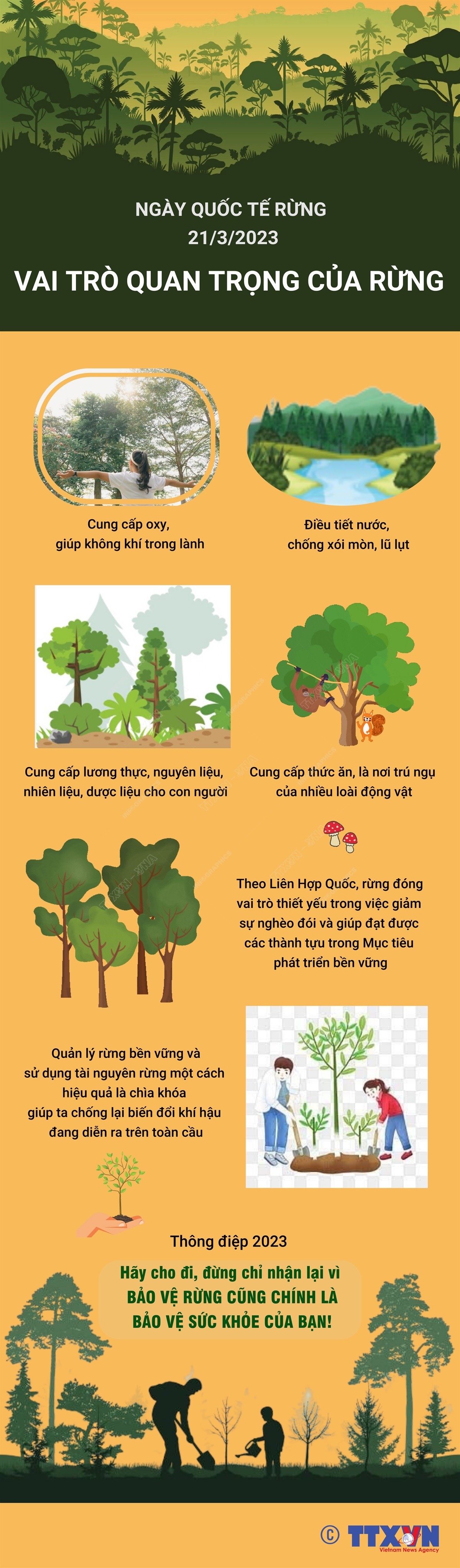[Infographics] Ngày quốc tế về Rừng năm 2023: “Rừng và Sức khỏe” ảnh 1