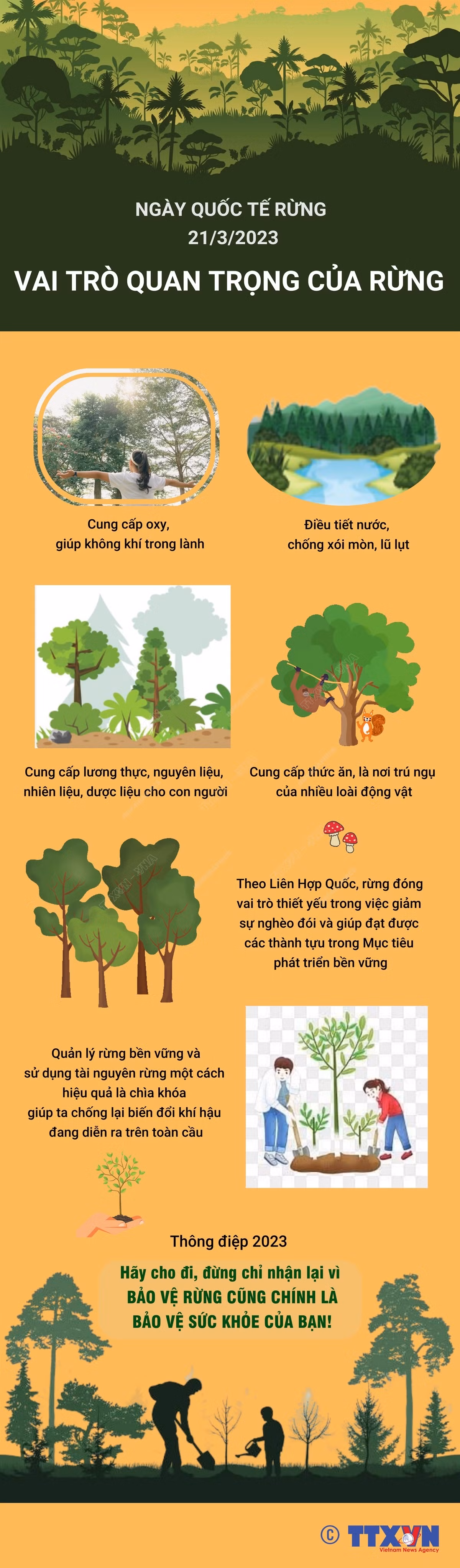 [Infographics] Ngày quốc tế về Rừng năm 2023: “Rừng và Sức khỏe” ảnh 1