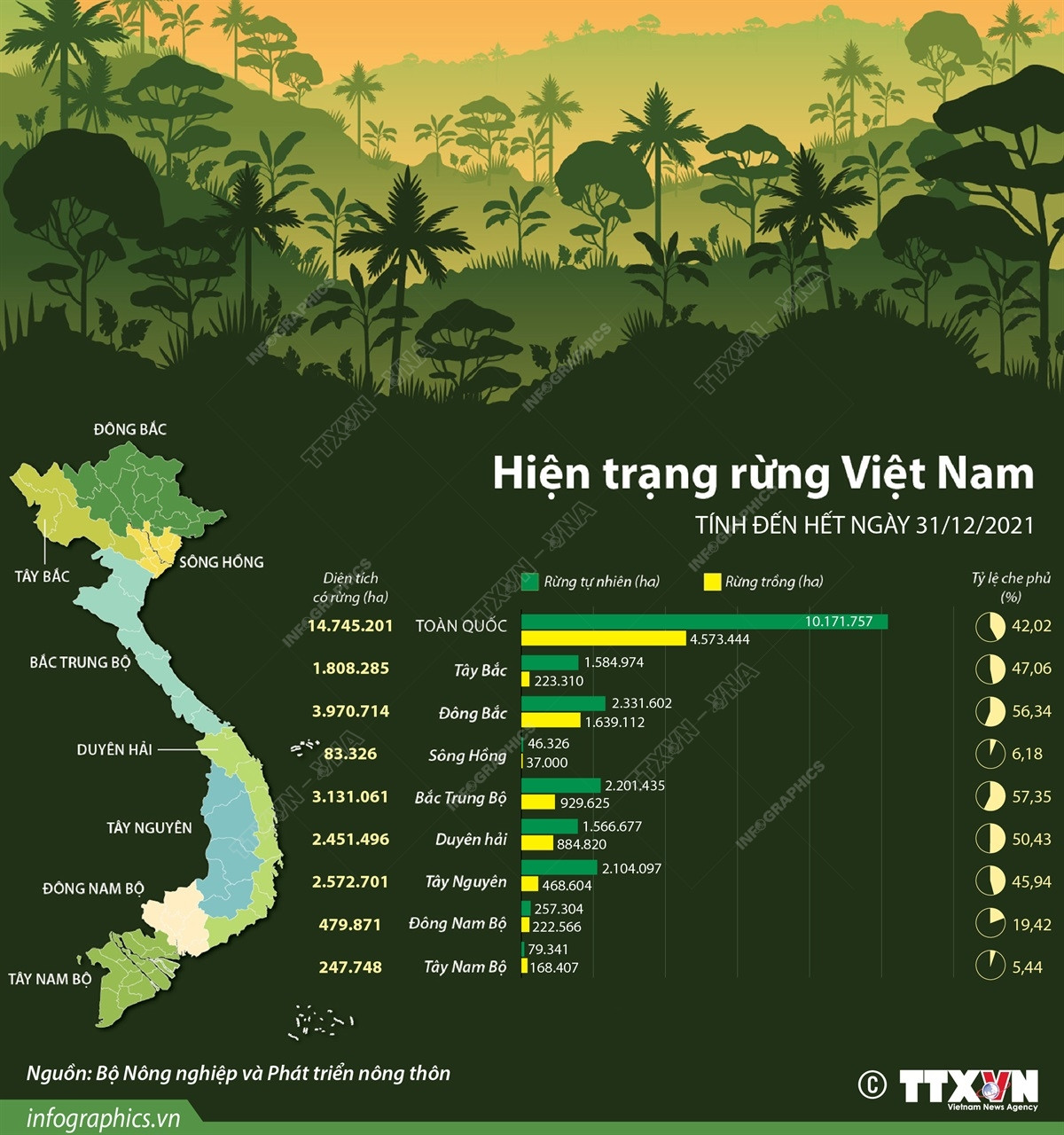 [Infographics] Việt Nam có hơn 14,7 triệu ha đất rừng năm 2021 ảnh 1