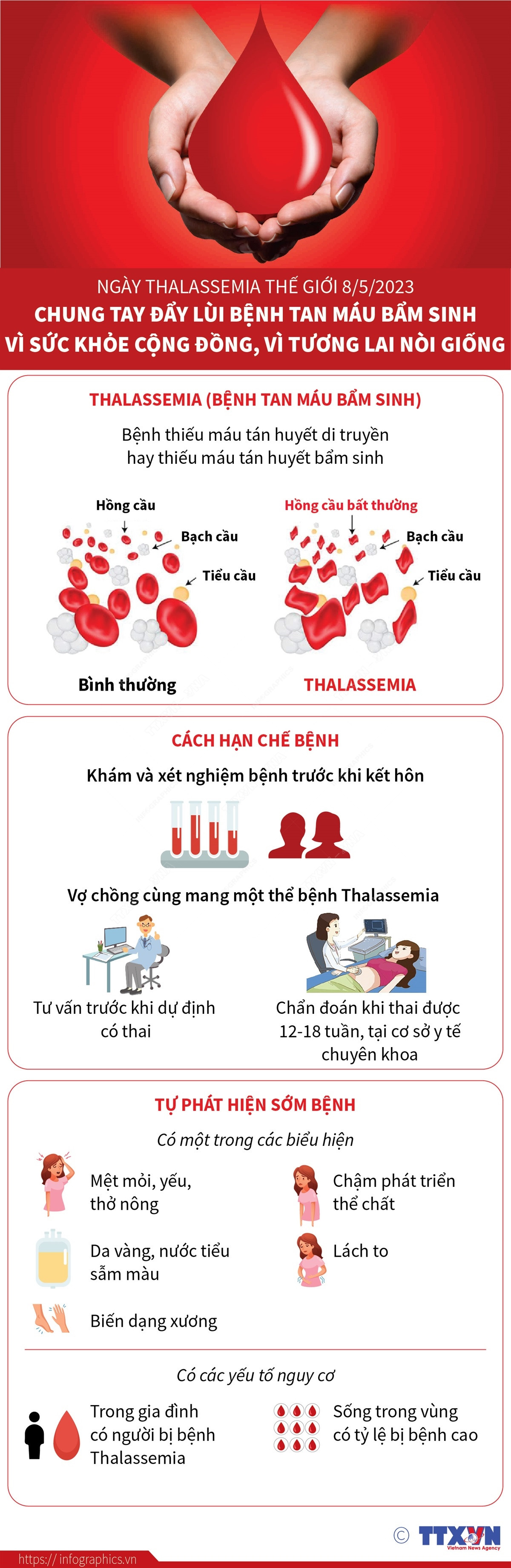 Đẩy lùi bệnh tan máu bẩm sinh vì sức khỏe cộng đồng và nòi giống ảnh 1