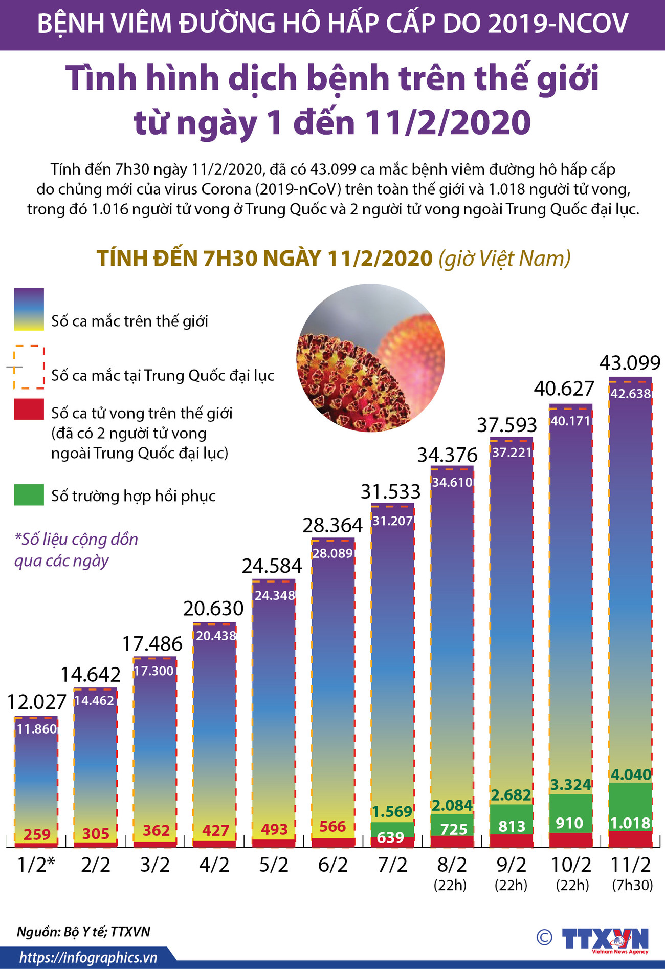 [Infographics] Gần 43.100 ca mắc bệnh do virus corona trên thế giới ảnh 1
