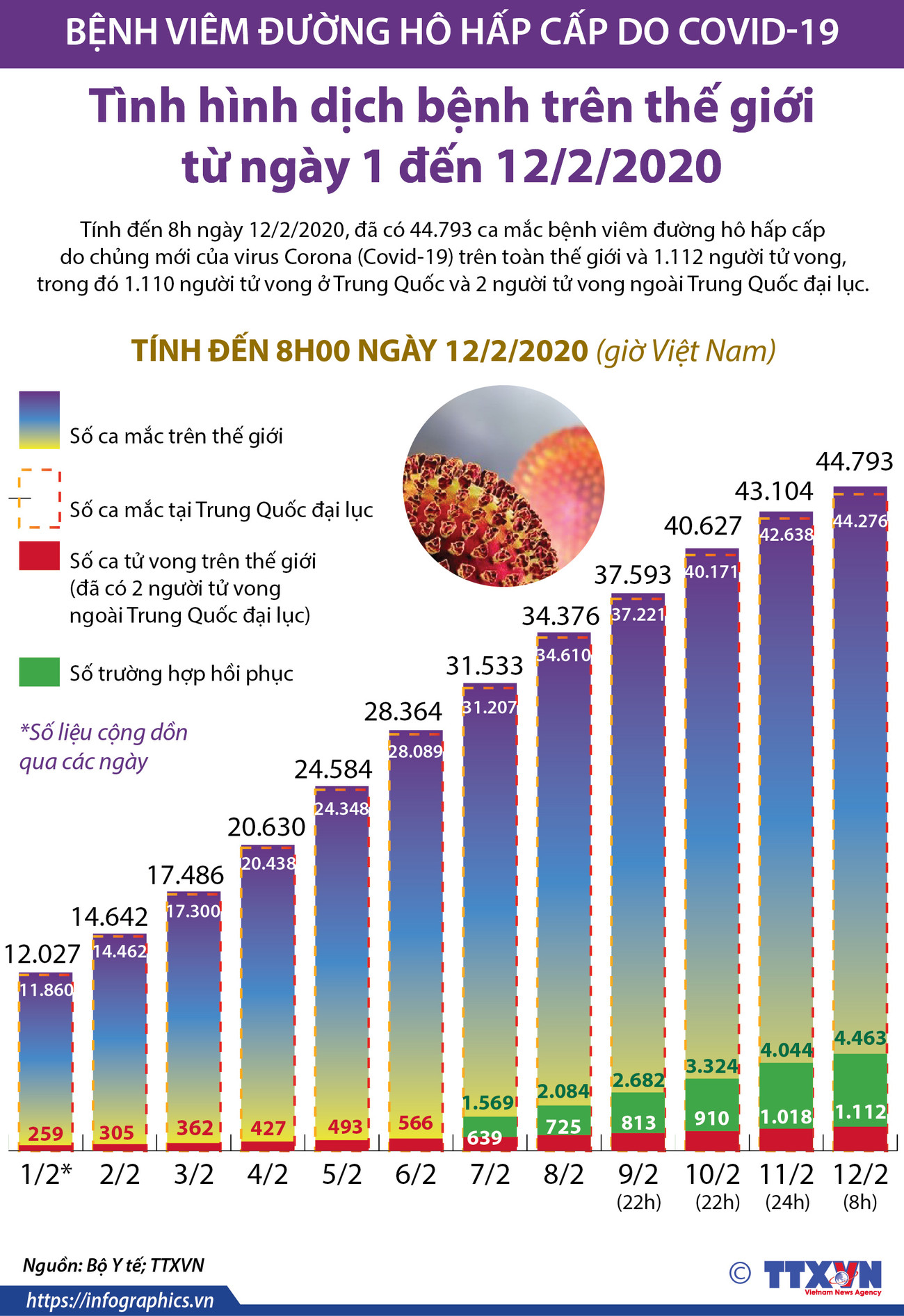 [Infographics] 44.793 ca nhiễm virus corona chủng mới ảnh 1