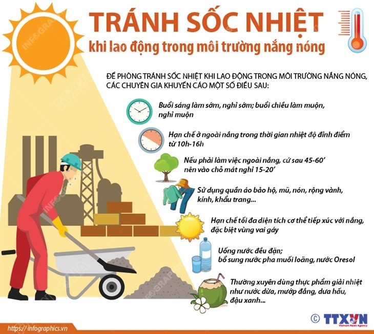 [Infographics] Tránh sốc nhiệt khi lao động trong môi trường nắng nóng ảnh 1