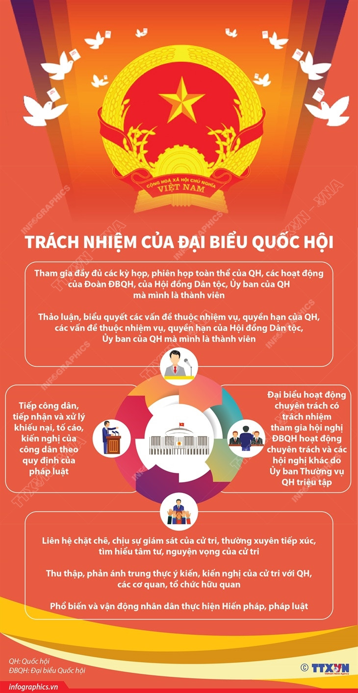 [Infographics] Những trách nhiệm của người đại biểu Quốc hội ảnh 1