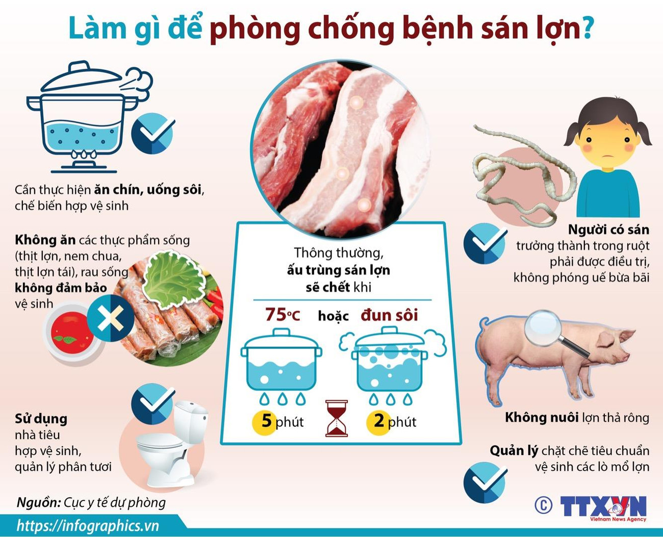 [Infographics] Cần làm gì để phòng chống bệnh sán lợn? ảnh 1