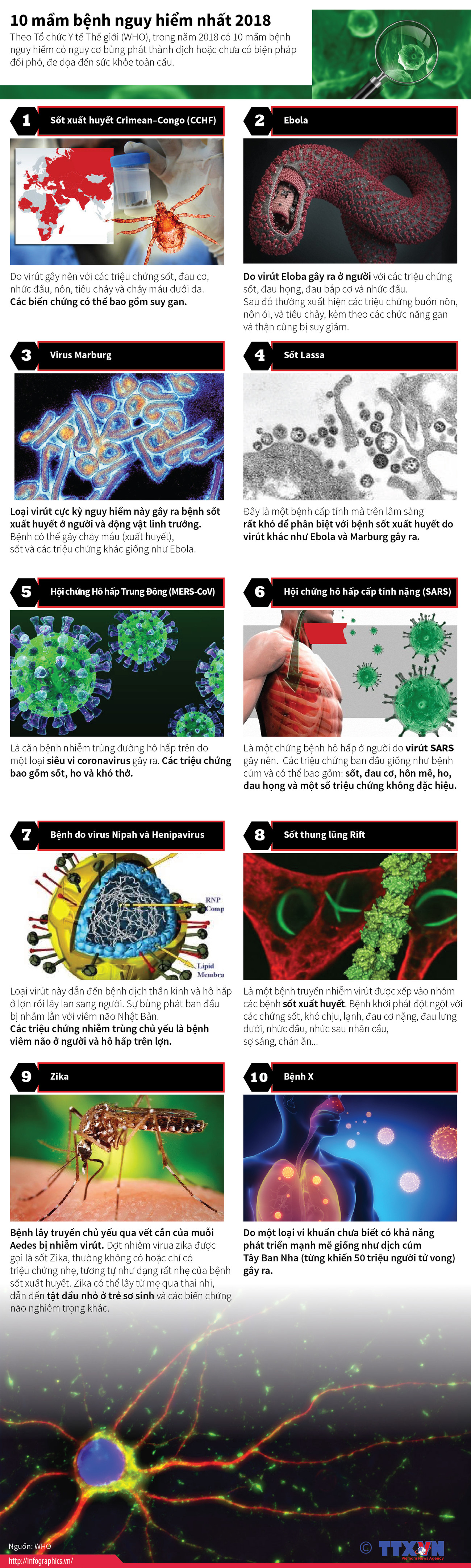 [Infographics] 10 mầm bệnh nguy hiểm nhất trong năm 2018 ảnh 1