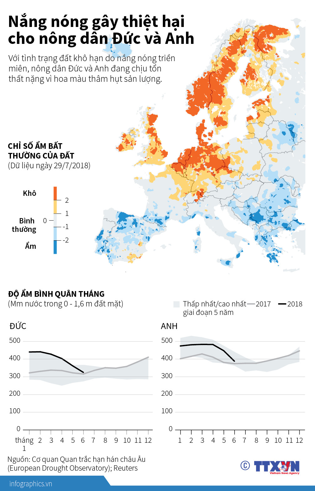 [Infographics] Nắng nóng gây thiệt hại cho nông dân Đức và Anh ảnh 1