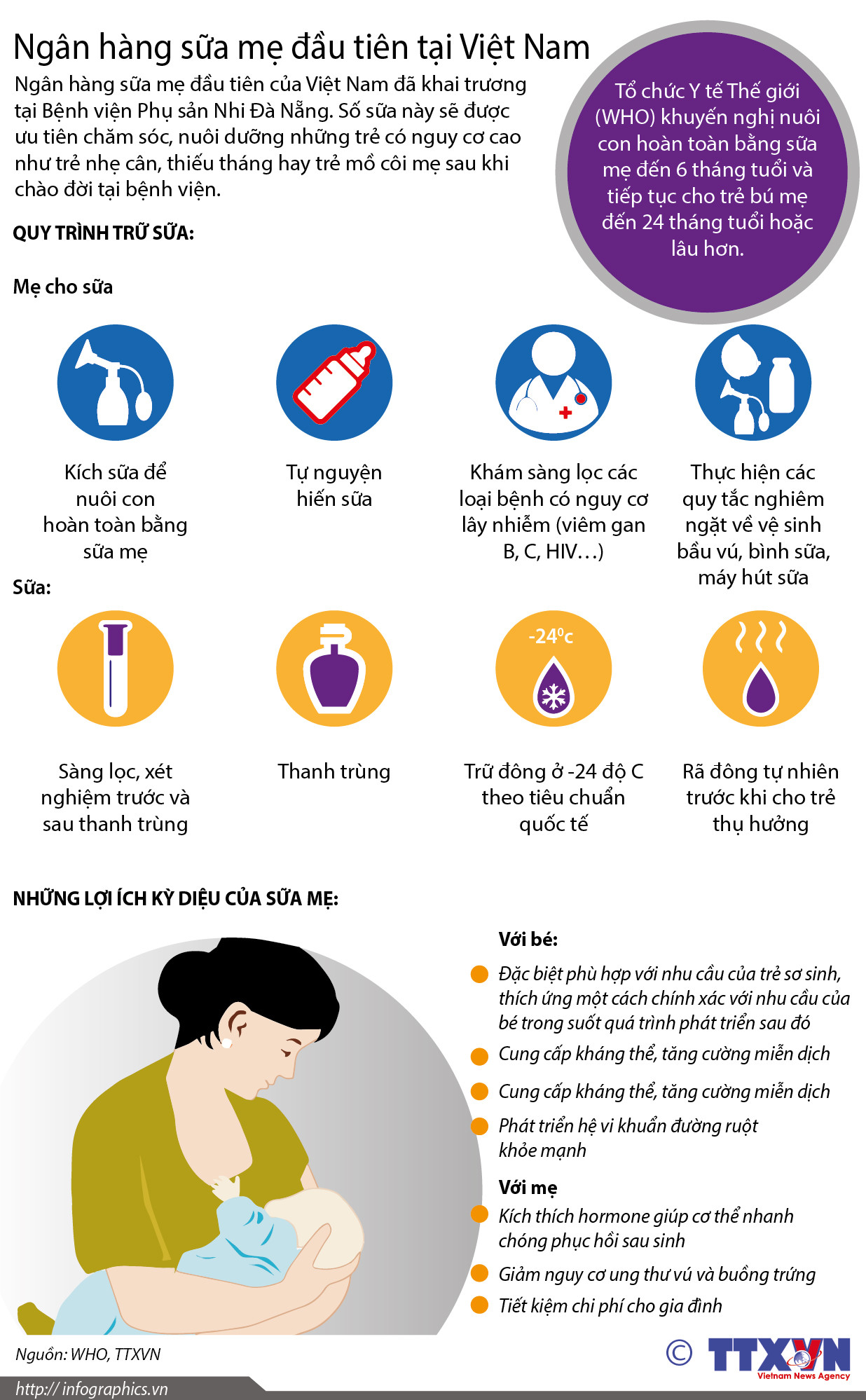 [Infographics] Tìm hiểu ngân hàng sữa mẹ đầu tiên tại Việt Nam ảnh 1