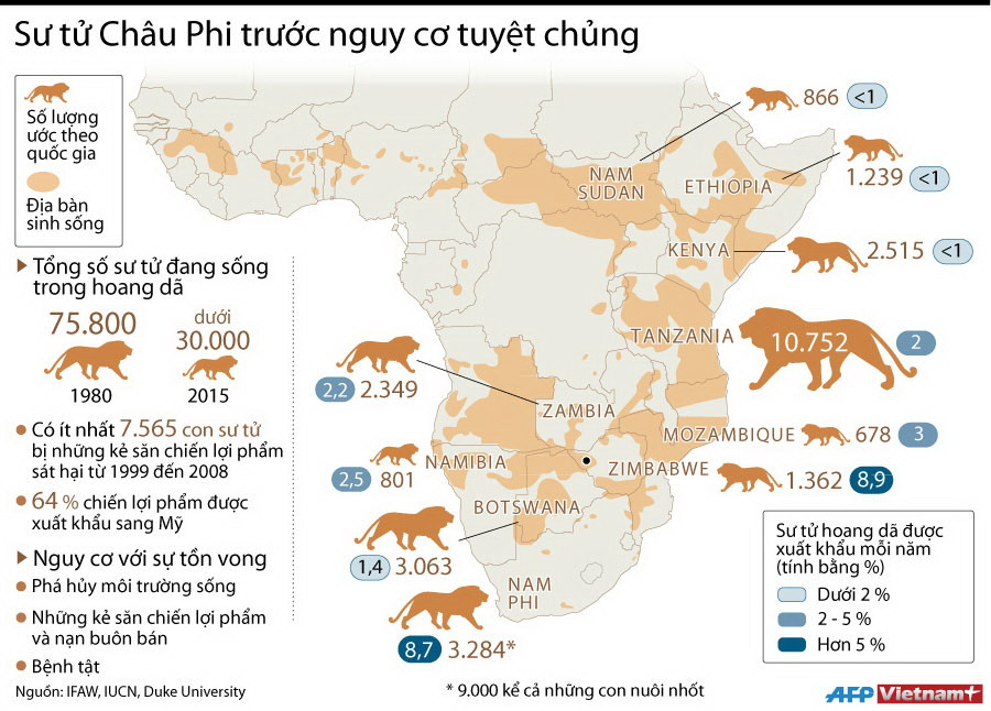 [Infographics] Tốc độ giảm đáng báo động của sư tử châu Phi ảnh 1