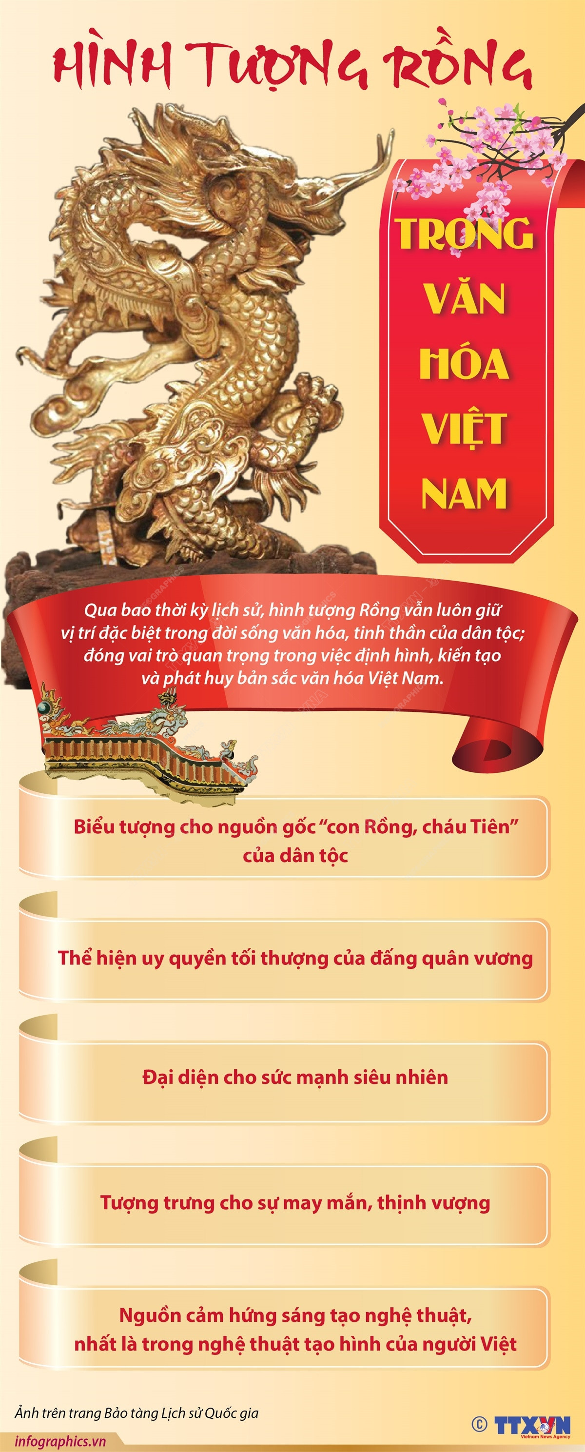 Infographics_hinh tuong rong 1.jpg