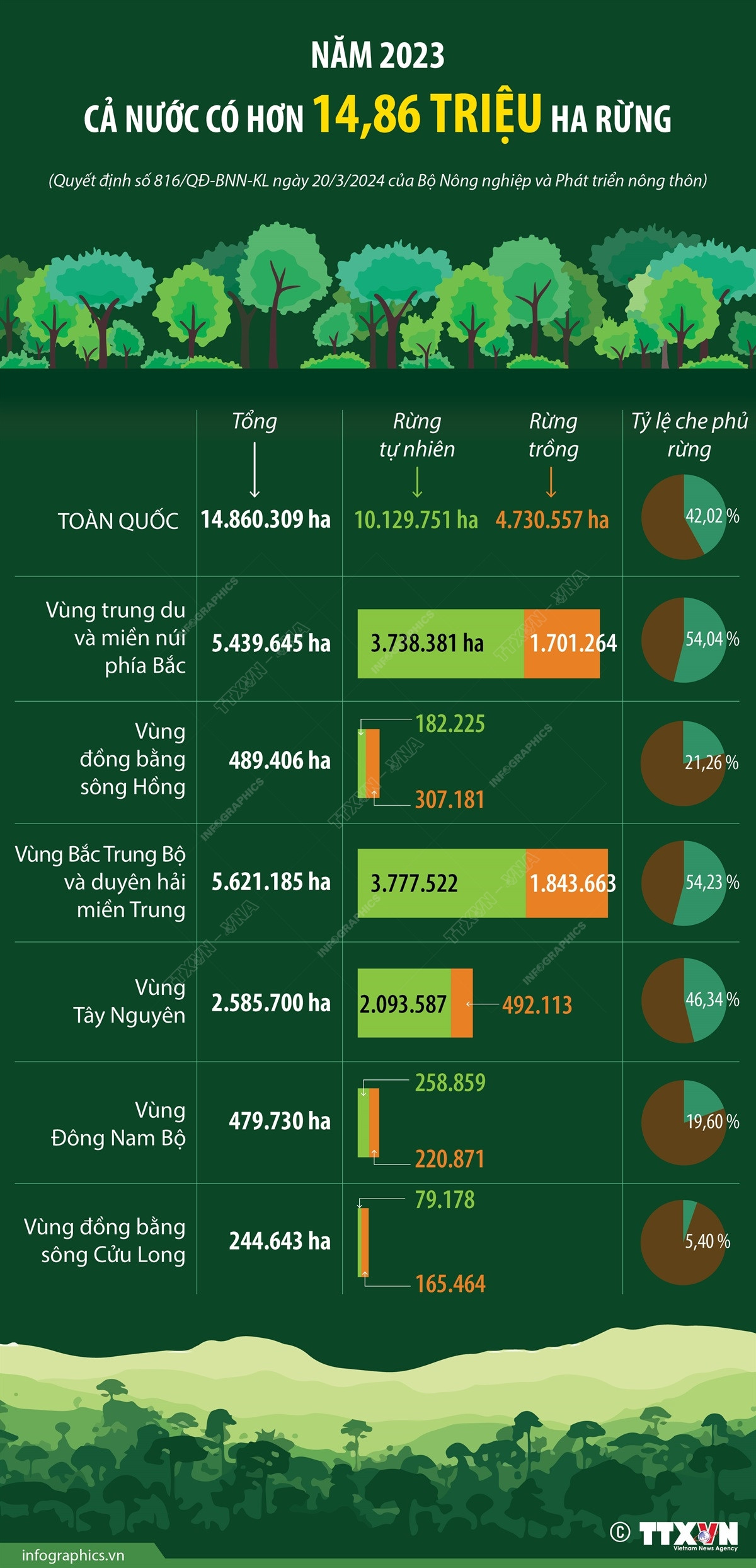 info_dien tich rung 2023.jpg